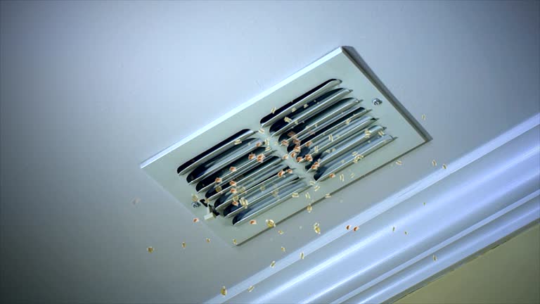 New Carlisle, IN Airduct Cleaning Company