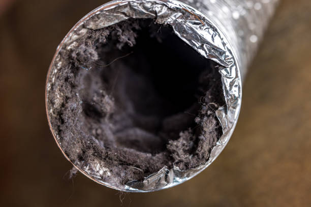 Air Duct Mold Removal in New Carlisle, IN