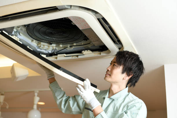 Best Local Air Duct Cleaning Services  in New Carlisle, IN