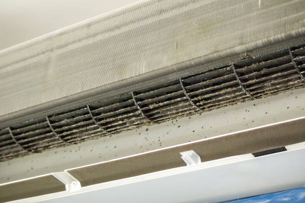 Best Affordable Air Duct Cleaning  in New Carlisle, IN