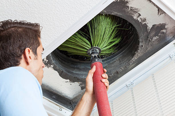 Best Ductwork Cleaning Services  in New Carlisle, IN